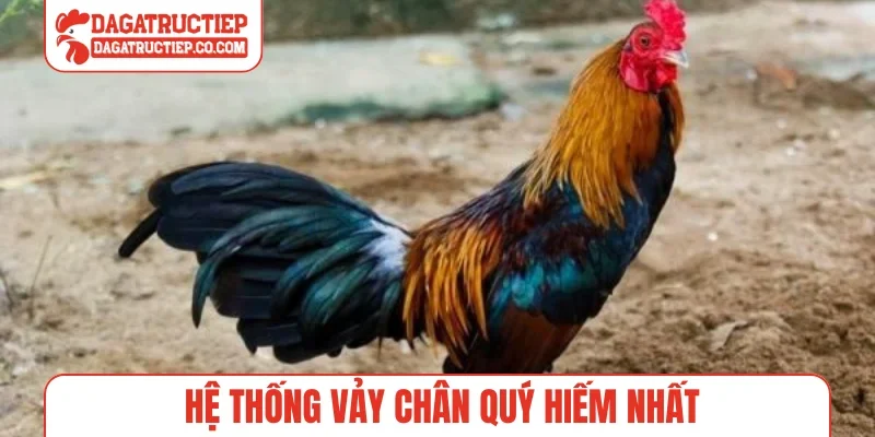 Hệ thống vảy chân quý hiếm nhất