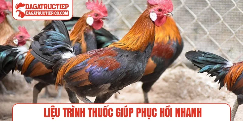 Liệu trình thuốc giúp phục hồi nhanh