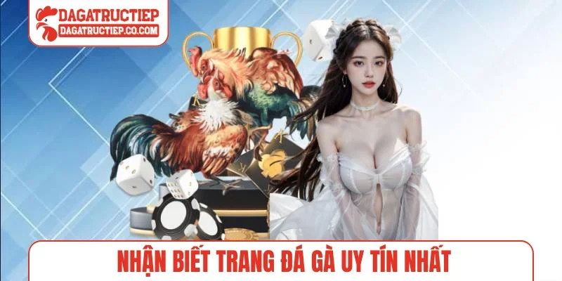 Nhận biết trang đá gà uy tín nhất