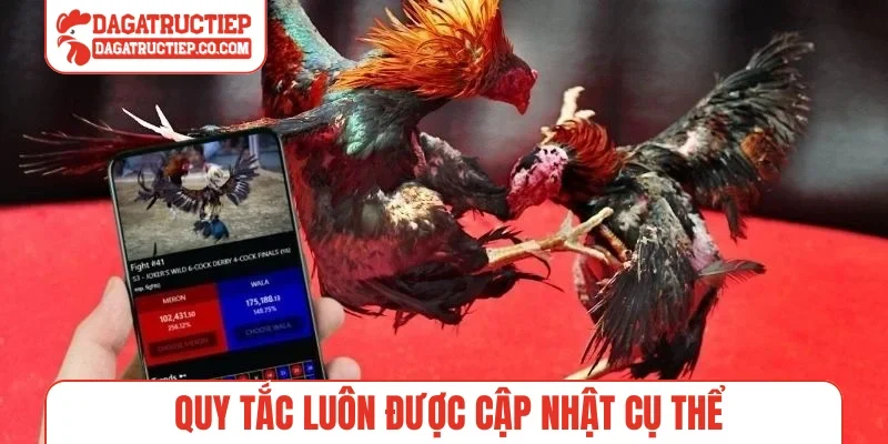 Quy tắc luôn được cập nhật cụ thể