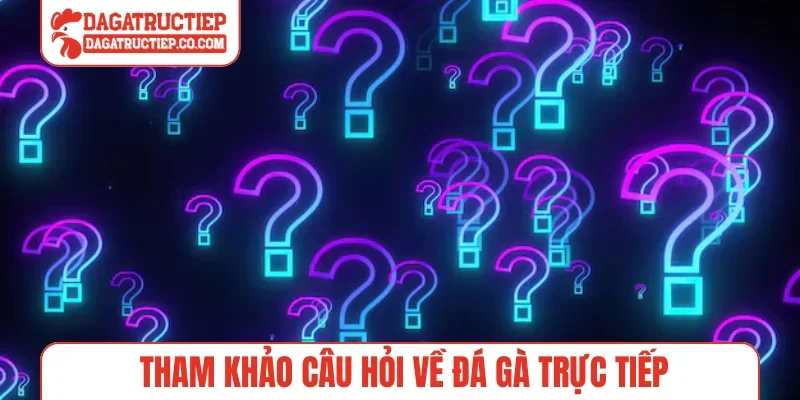 Tham khảo câu hỏi về Đá Gà Trực Tiếp